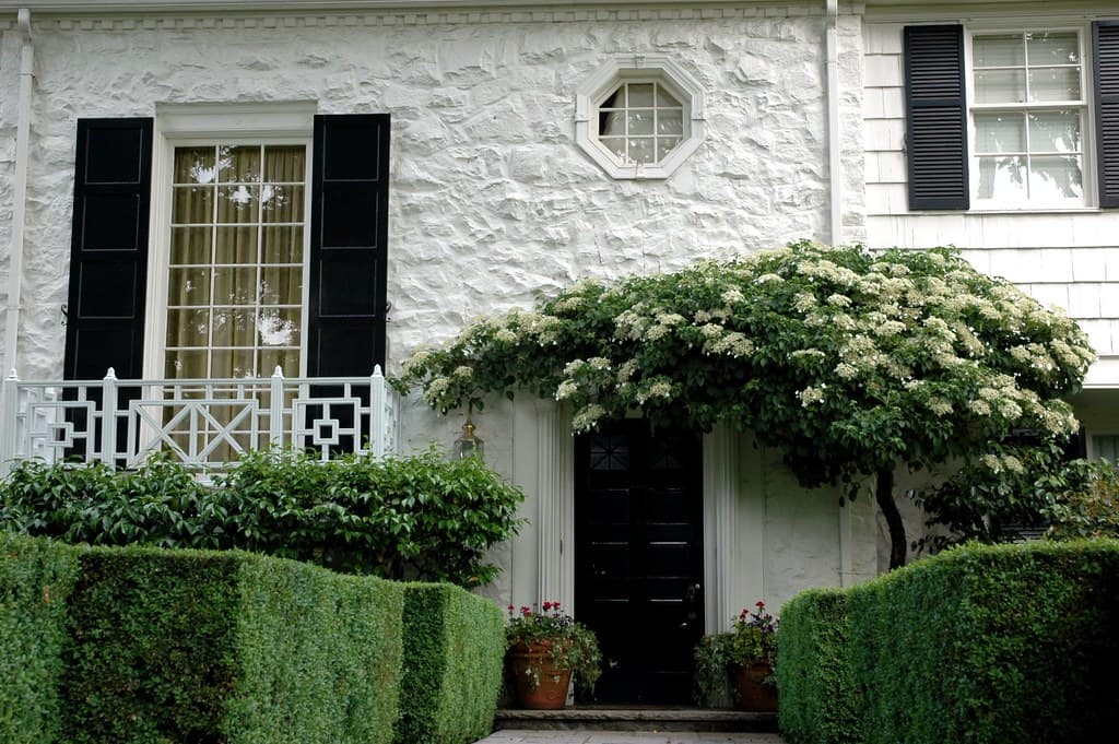 The front of a white-painted stone house with black shutters, an octagonal window over a dark panelled front door and a brass lantern beside it, a mass of white flowering shrub arching over the entrance, two terracotta pots of red flowers standing either side of the door, and a white fretwork fence above clipped box hedges across the foreground
