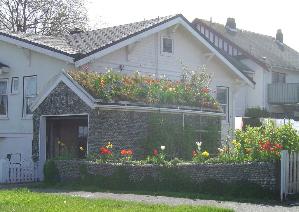 A building front faced in rounded river stones with a four figure number picked out in paler stones in its small gable and a dark open garage doorway beneath, the flat roof running off to the right planted as a garden of red, white, yellow and purple tulips, daffodils and grape hyacinth, a pale shingled house rising behind it, a bed of tulips at ground level, a white picket fence at each end and washing hanging on a line at the right