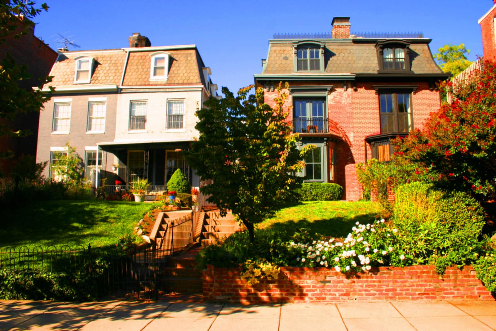 Two Victorian houses side by side on a sloping city block in late summer, the left one painted cream with a shingled mansard roof and dormers over a covered porch, the right one of red brick with green painted trim, bay windows and a shingled mansard roof of its own, both well kept, seen from the pavement over a low brick retaining wall through heavy flowering planting and an iron railing